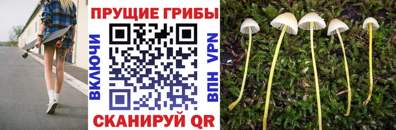 Галлюциногенные грибы прущие грибы  Купить закладки  Соль-Илецк 