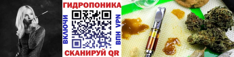 Купить закладки  Соль-Илецк  Конопля Ganja 